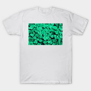 Emerald Green T-Shirt